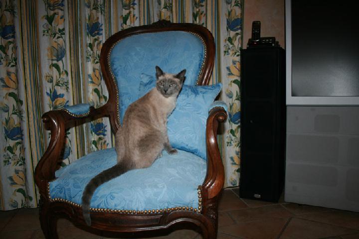 2007-06 Saphir 026.jpg